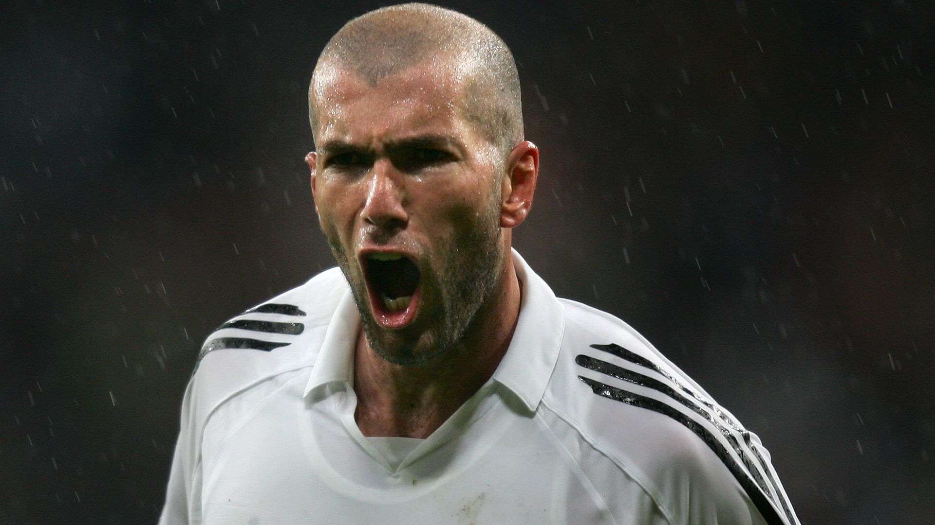 赵一程的成 赵一程的成